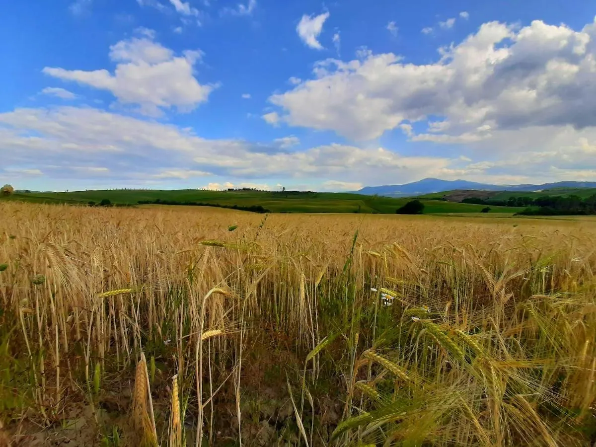 Apartamento La Corte Antica Pienza Italia